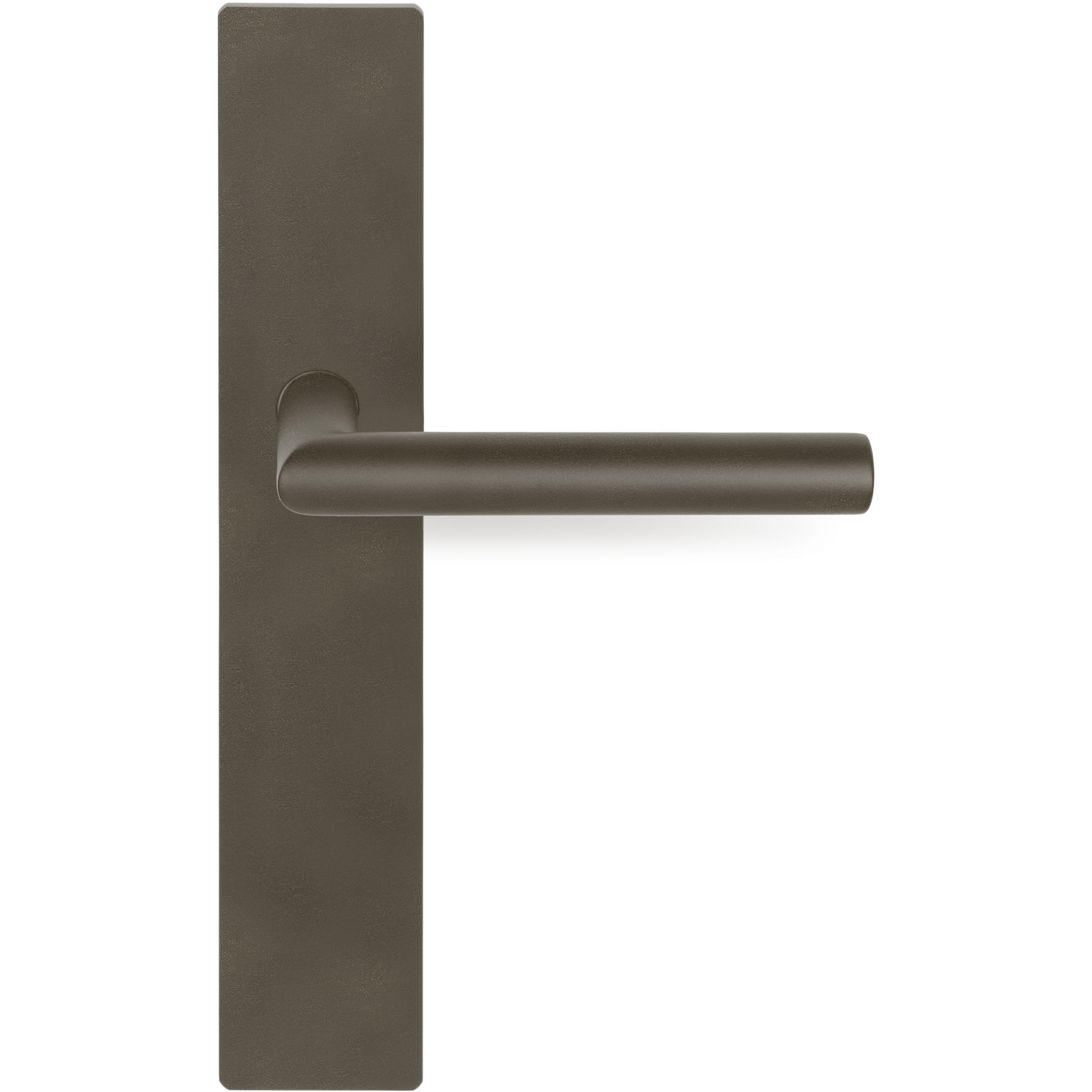Product image for 1501D242BRXX0SF