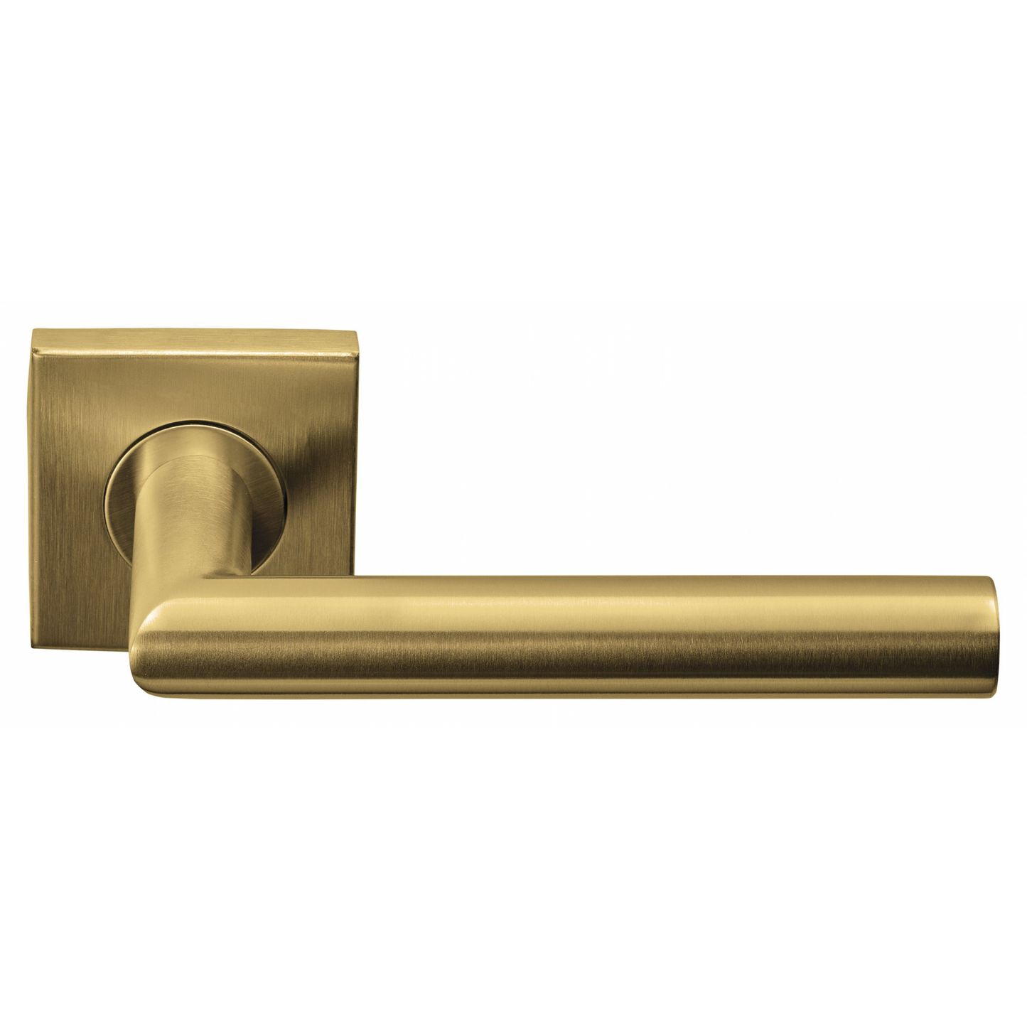 Product image for 1501D242IMXX0BS