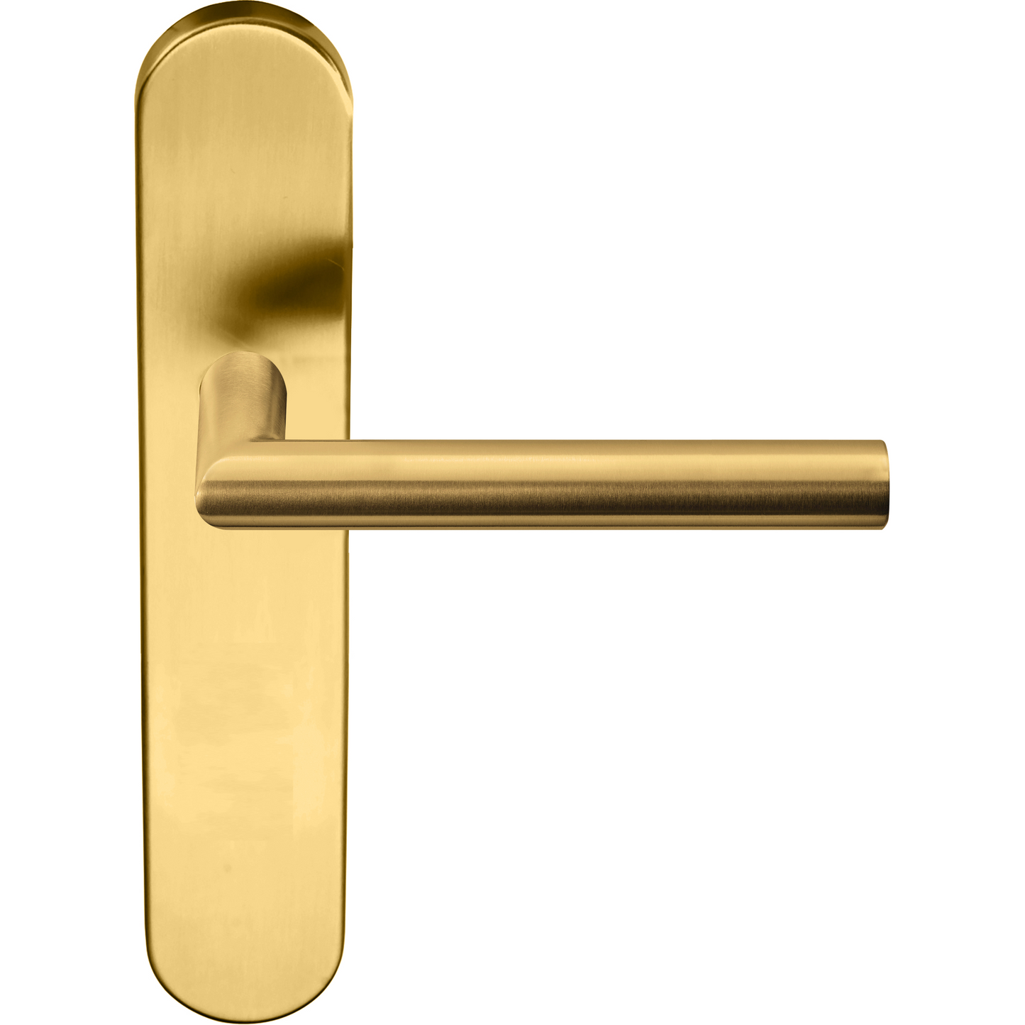 Product image for 1501D242IMXX0F