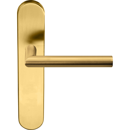 Product image for 1501D242IMXX0F