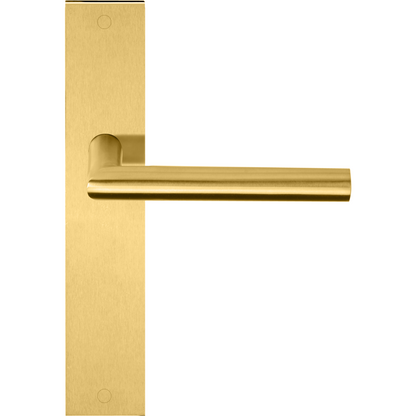 Product image for 1501D242IMXX0SF