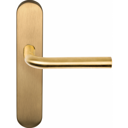 Product image for 1501D244IMXX0F