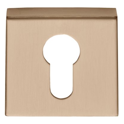 Product image for 1501Y060BLXX0