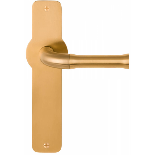 Product image for 3101D001IMXX0FZL